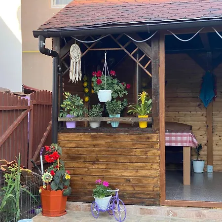 Homestay Vila Piscotel
